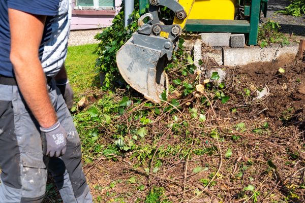 Hedge Removal Service in Visalia