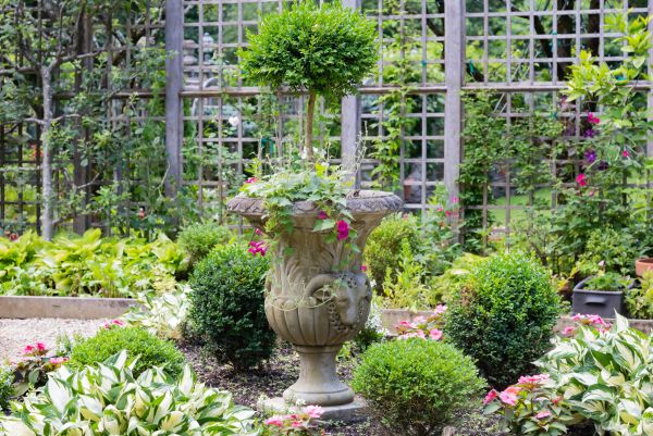 Cost of Topiary Pruning in Visalia
