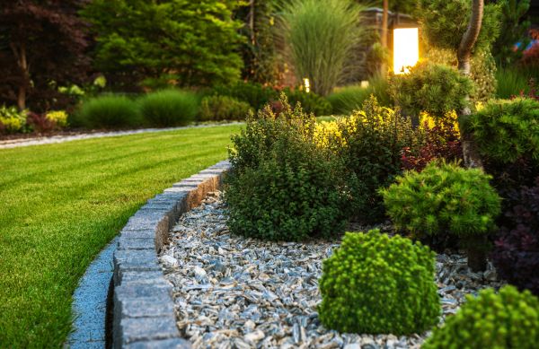 Cost of Bush Relocation in Visalia