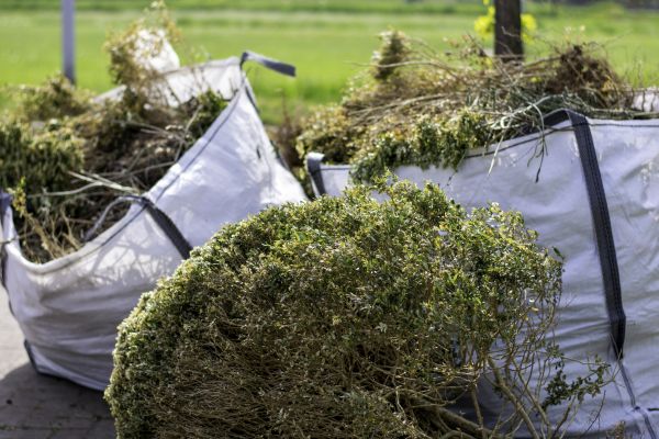 Cost of Shrubs Removal in Visalia