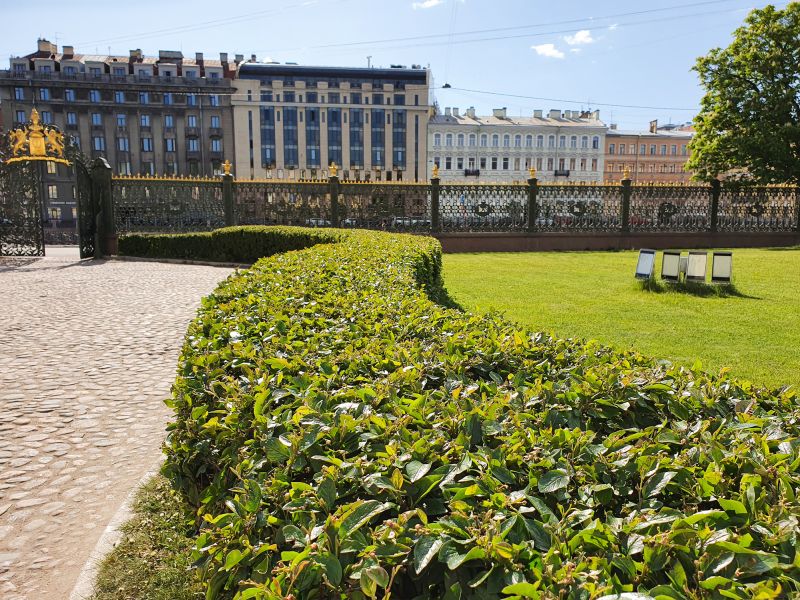 Shrub Pruning detail