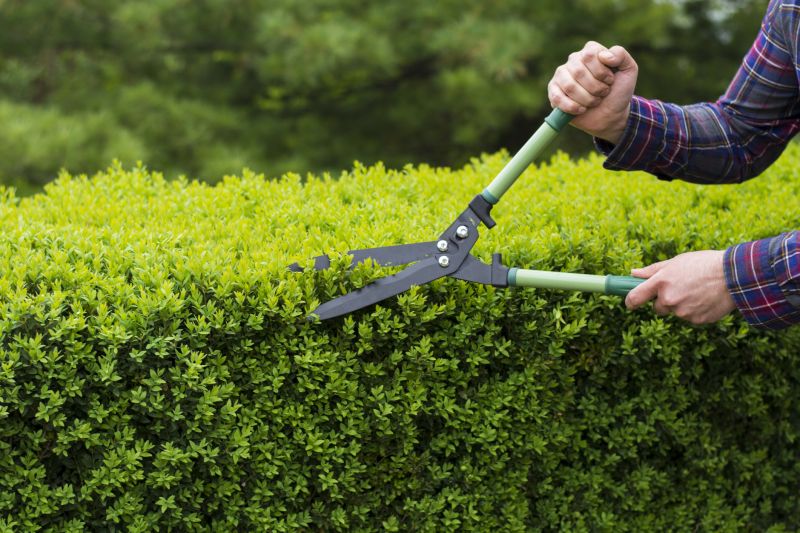 Close-Up of Trimming Tools